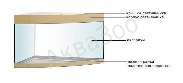 akvarium_uglovoj_arg_as2